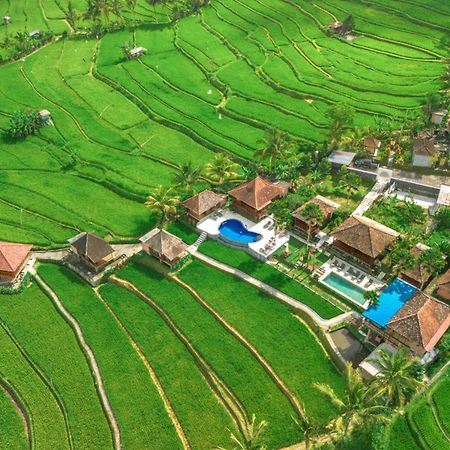 Villa Sande Munduk Exteriér fotografie