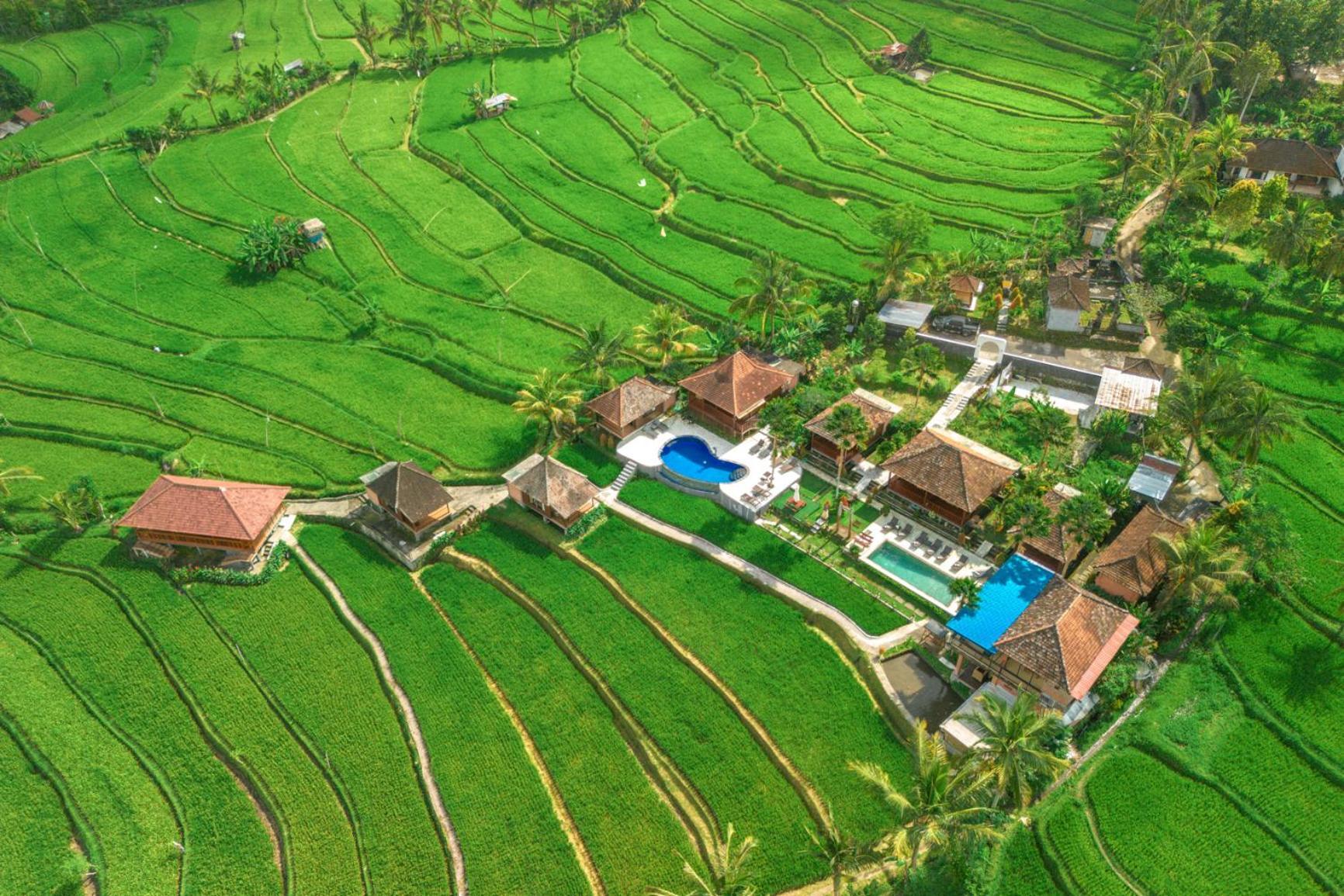 Villa Sande Munduk Exteriér fotografie