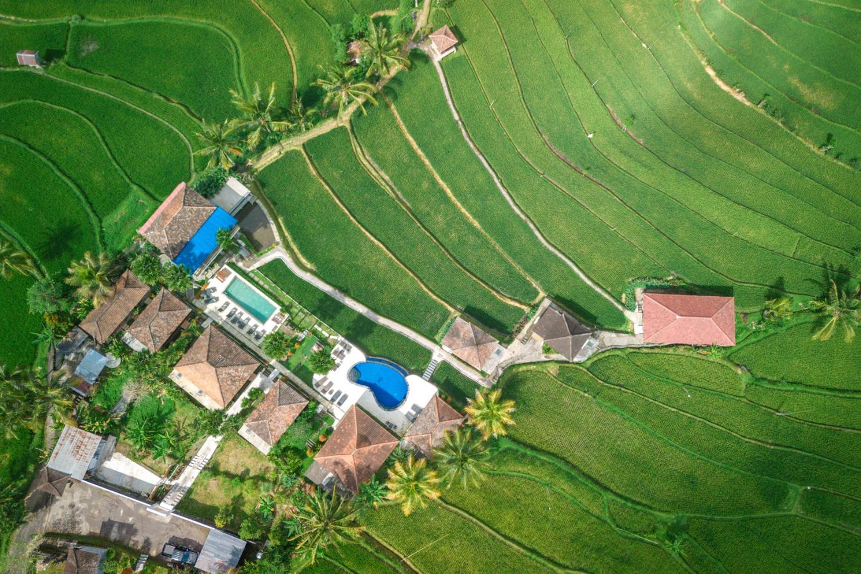 Villa Sande Munduk Exteriér fotografie