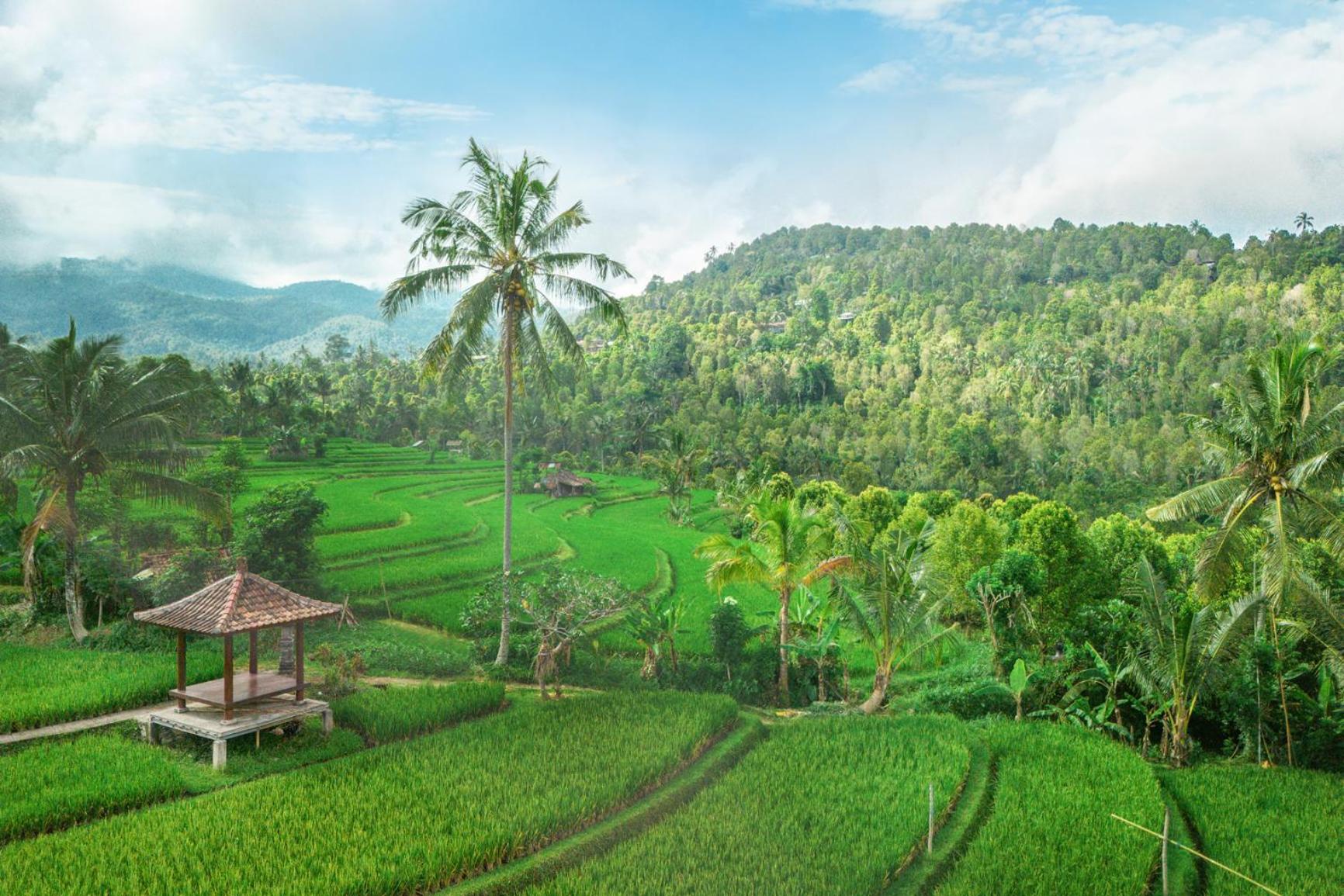Villa Sande Munduk Exteriér fotografie