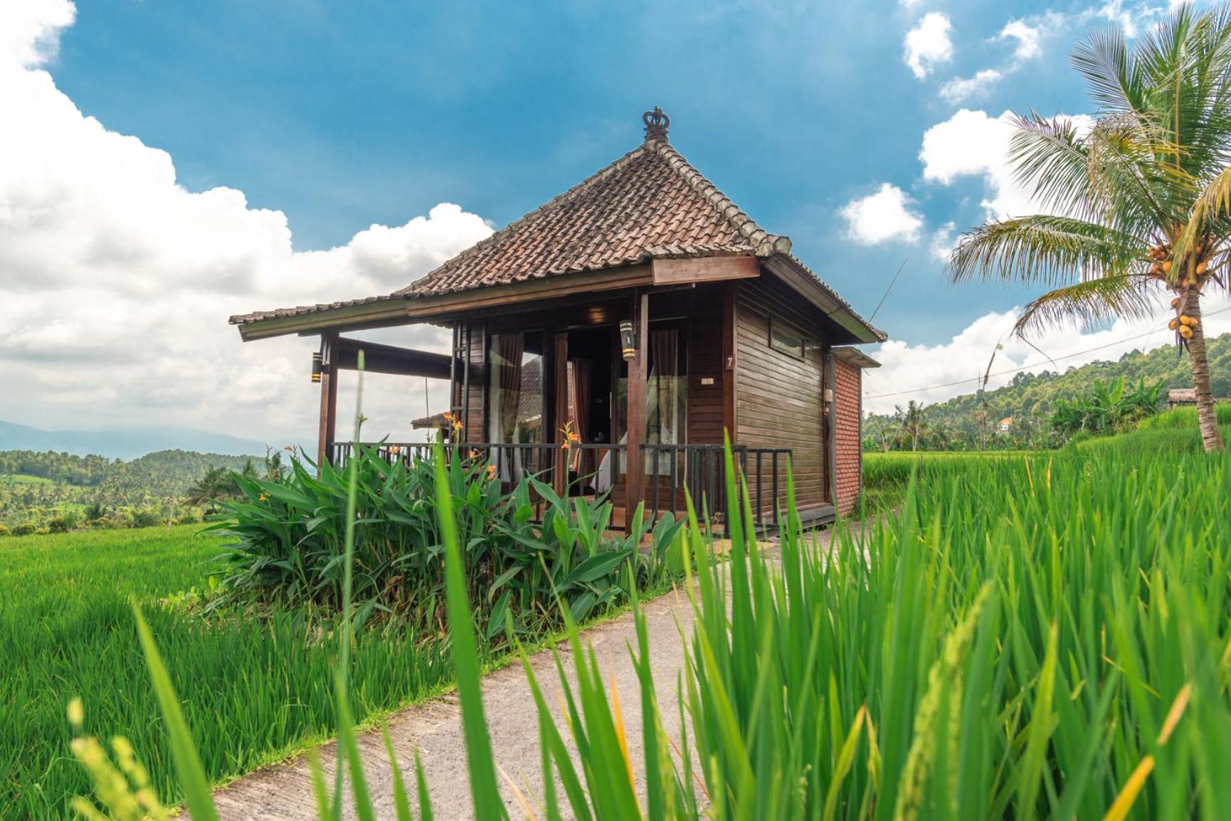 Villa Sande Munduk Exteriér fotografie